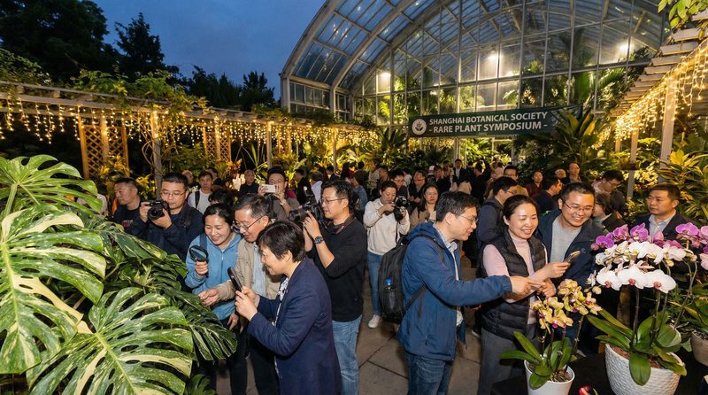 青柠视频植物社区活动